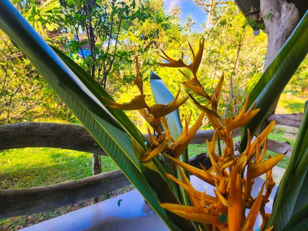 Banmae Resort Kohchang Koh Chang Bagian luar foto